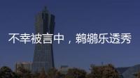 不幸被言中，鹈鹕乐透秀场上表现低迷，模板申京打法却天差地别