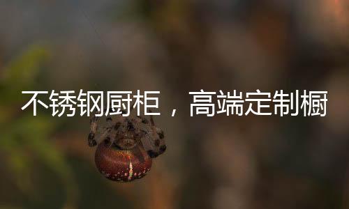 钢厨柜高柜健壮环保