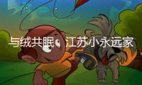 与绒共眠
，江苏小永远家纺家居用品给睡眠升级
