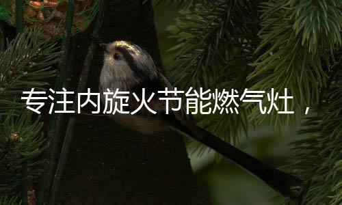 正是专注周年因为超人的专注