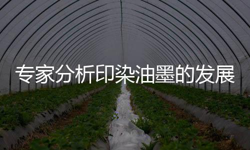 专家展方环境的分析保卫着想
