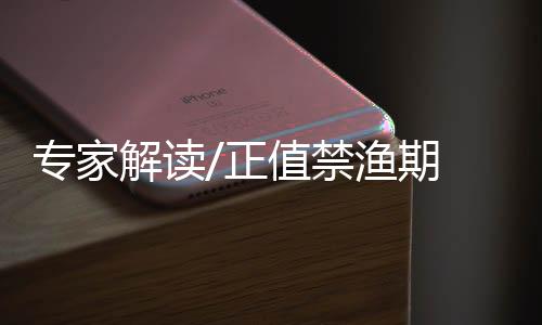 专家正值地磁场变化