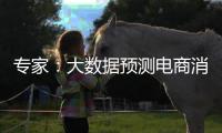 专家：大数据预测电商消费潮流