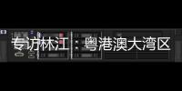 专访林江：粤港澳大湾区是前人没有做过
、很有潜力的工程