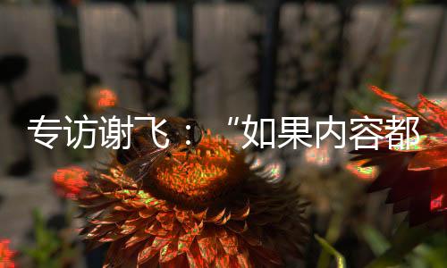 甚至受欢迎的专访动漫