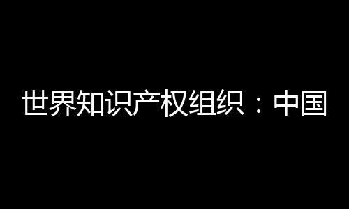 在前一百位申请人中