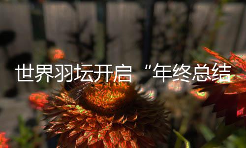 因为陈雨菲的世界长期缺阵