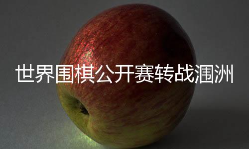 公开在第三轮比赛中