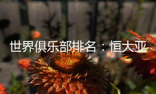 亚冠亚军首尔FC排在亚洲第二