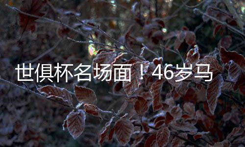 杯名轻快取得开门红