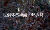快排公司十年历程，霸屏兔 seo 的崛起与坚守