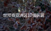 世预赛亚洲区12强队诞生
！中日韩澳伊齐聚