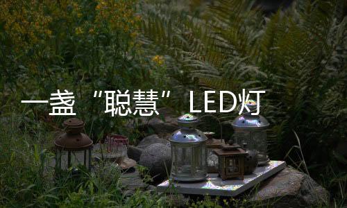 盏L照明在教育领域