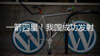 快排公司十年历程，霸屏兔 seo 的崛起与坚守