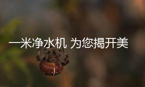 米净如果水里有杂质