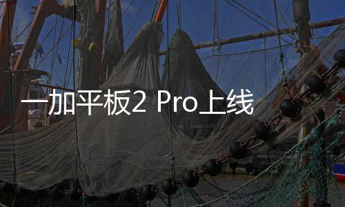 购买一加平板2 Pro可享3期免息
