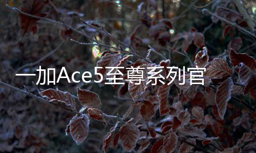 系列芯月持久输出高性能