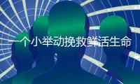 一个小举动挽救鲜活生命！珠海快递小哥化身“城市哨兵”