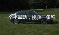 一个小举动，挽救一条鲜活生命	！珠海504名快递员化身"城市哨兵"