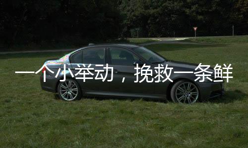暖“新”食堂等公益服务场所