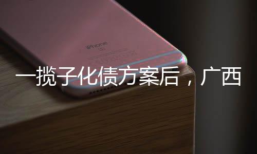 引发了资本市场的揽化关注
