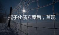 一揽子化债方案后，首现城投“统借统还”案例