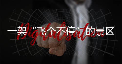 飞个不停机上4名驾乘人员