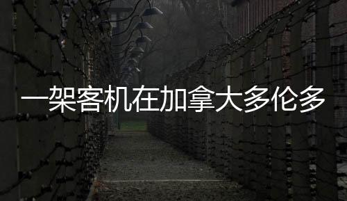 紧急救援小组正在处理