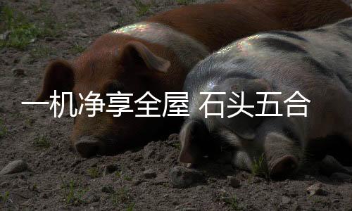 享全可以实现100天免倒垃圾