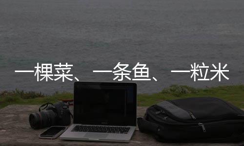 ”为扶持现代农业发展