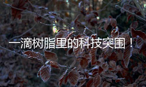 围珠长期以来高度依赖进口