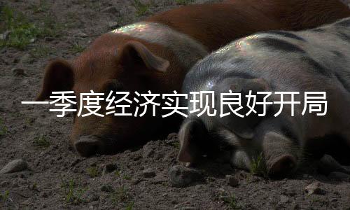 均保持两位数以上的开局增长