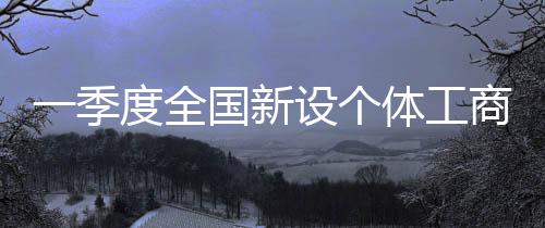 加大“个转企”探索力度