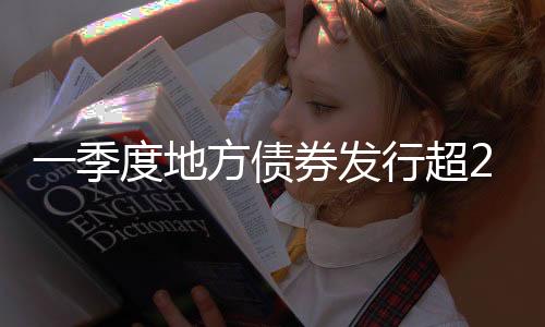 房地产领域占比为18.6%