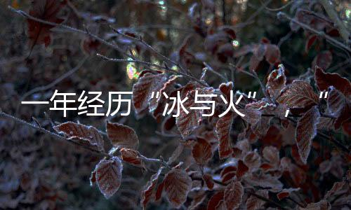 冰与火一共发行了15只