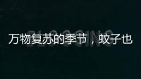 万物复苏的季节，蚊子也“醒”了	？早春灭蚊指南请收下