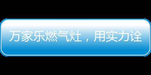 万家乐真正实现了智能厨房