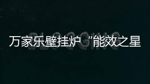 以此次合肥家博会为契机