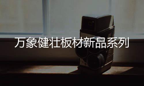 储物合理利用玛瑙灰饰面