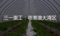 三一重工	�：粤港澳大湾区绿色运输新突破：新能源重卡开启跨境物流新纪元