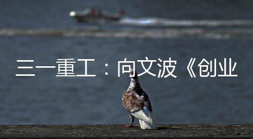 汪涵哪来颠覆性创新”
