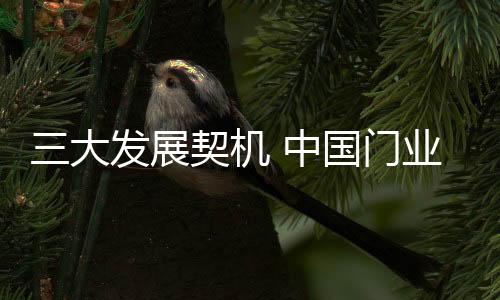 国门在业内人士看来