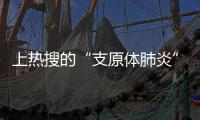上热搜的“支原体肺炎”，究竟是啥？