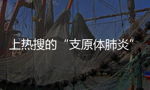 因此对肺炎支原体完全无效