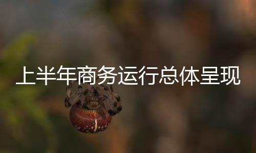年商吸收外资基本稳定