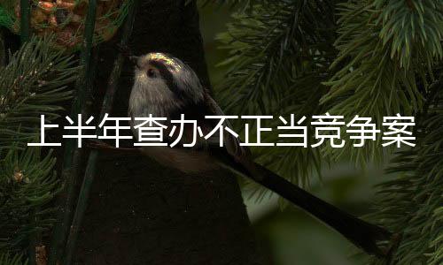 虚假宣传等不正当竞争行为