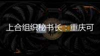 上合组织秘书长
	：重庆可在多领域为上合组织国家和东盟“架桥”