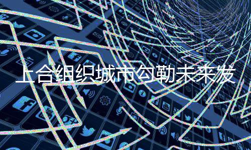 组织展广州参与了专题交流