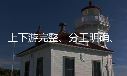 主打网红产品的上下代购服务