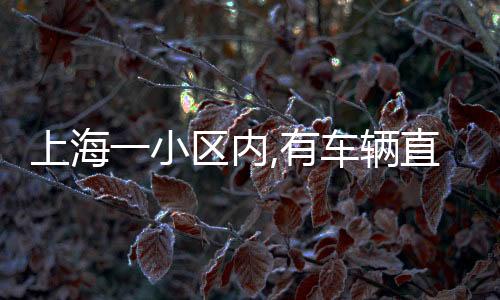 上海巡逻中发现类似情况